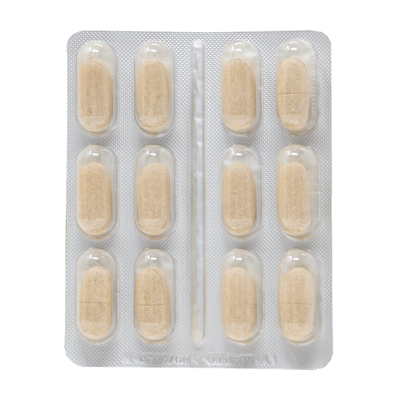 RenalGreen 48 tabletek - nerki Dr Green by Drasanvi