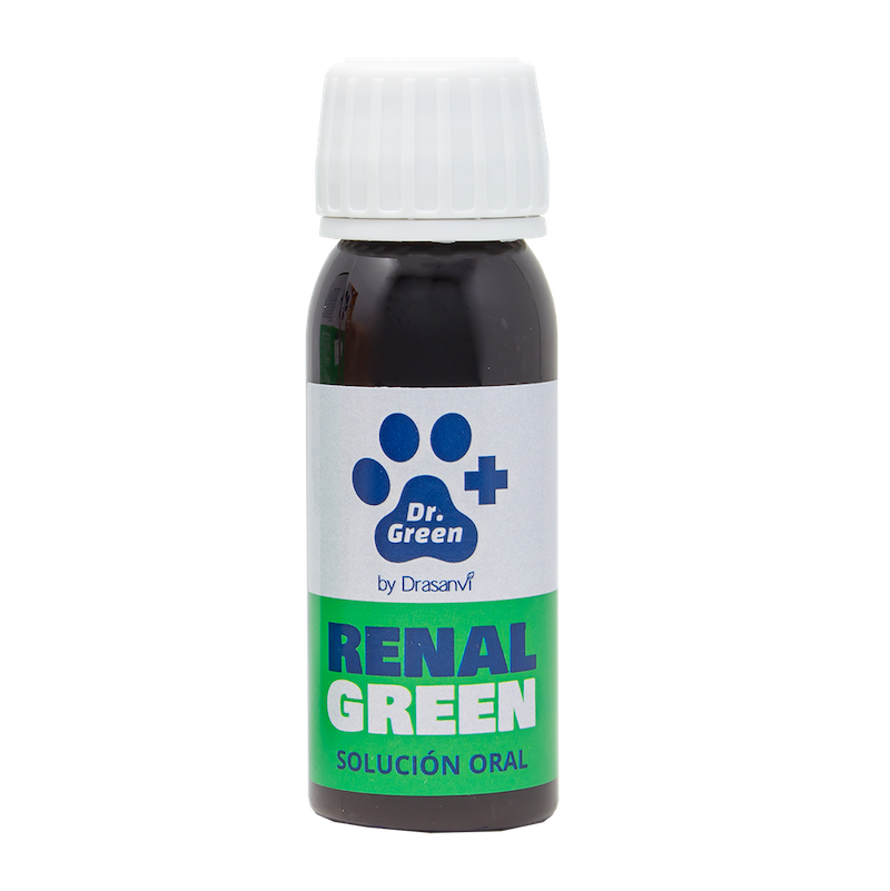 RenalGreen 50ml płyn - nerki Dr Green by Drasanvi