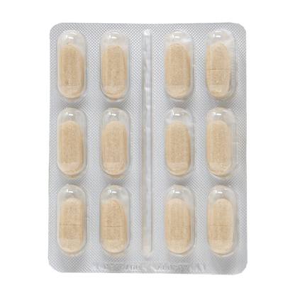 RenalGreen 48 tabletek - nerki Dr Green by Drasanvi